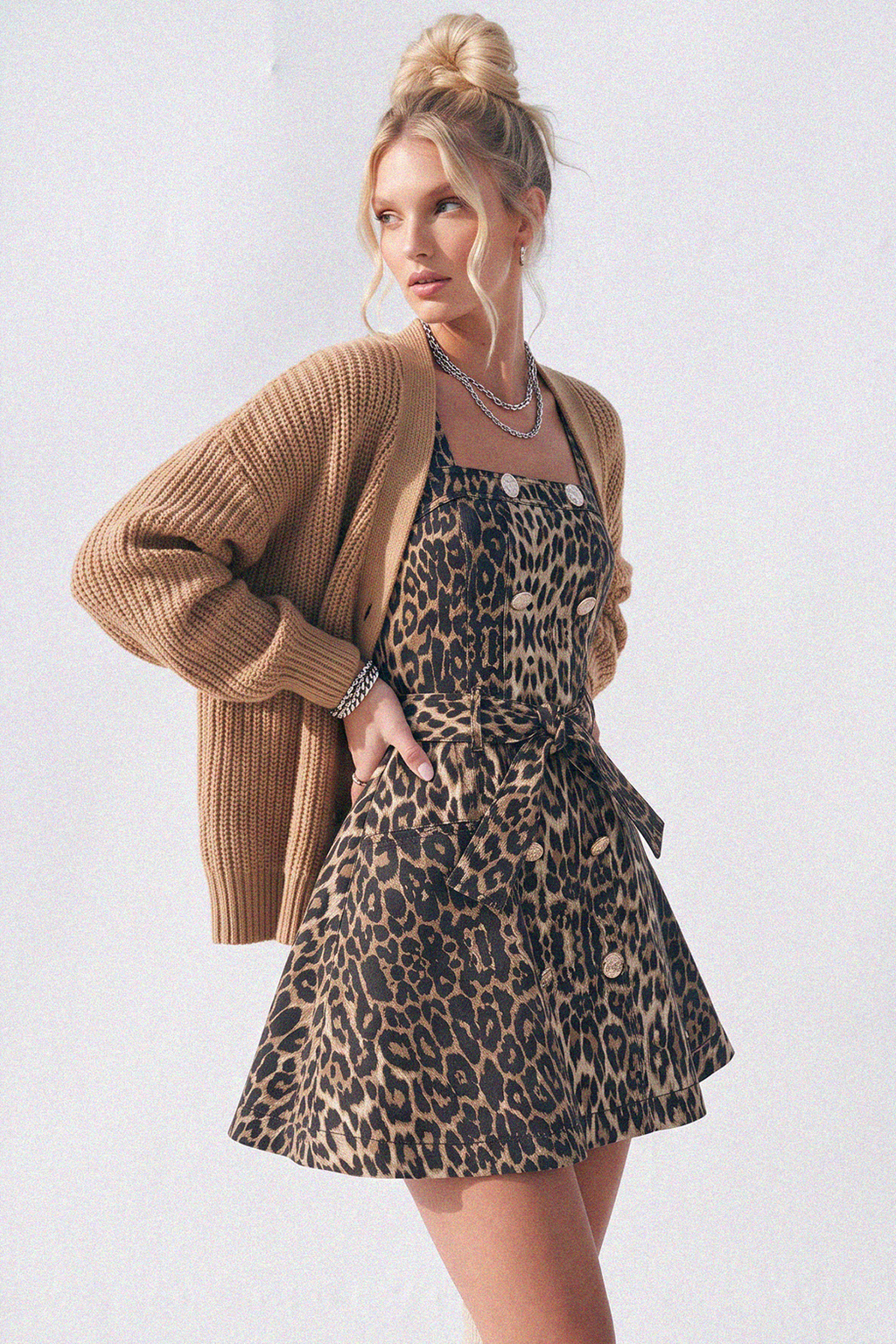 Leopard Print A-Line Mini Dress