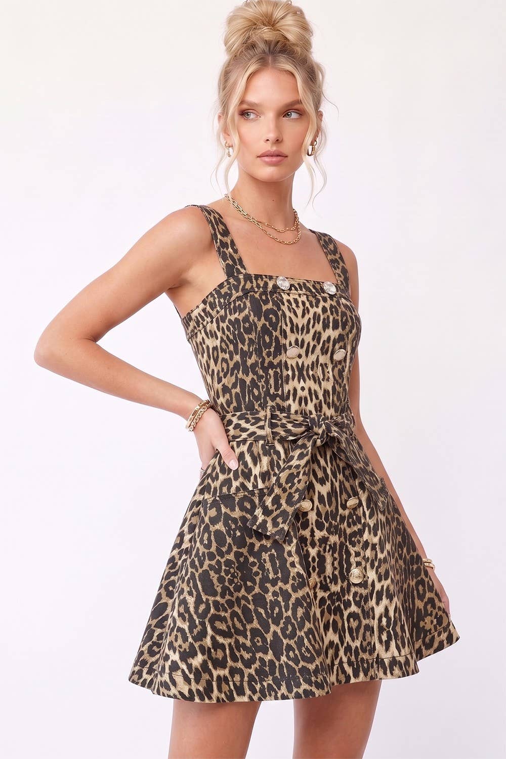 Leopard Print A-Line Mini Dress