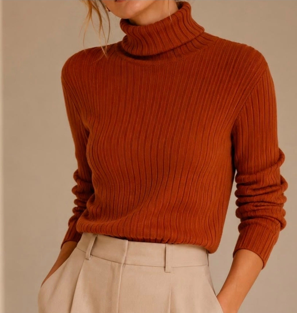 Ribbed Roll Neck Knit Top